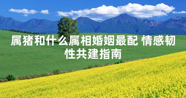 属猪和什么属相婚姻最配 情感韧性共建指南